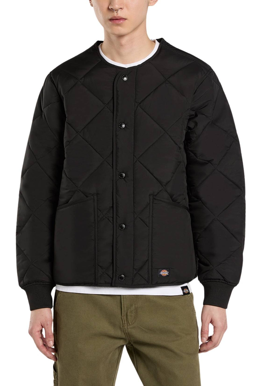 DICKIES - Men's quilted Samburg down jacket-0