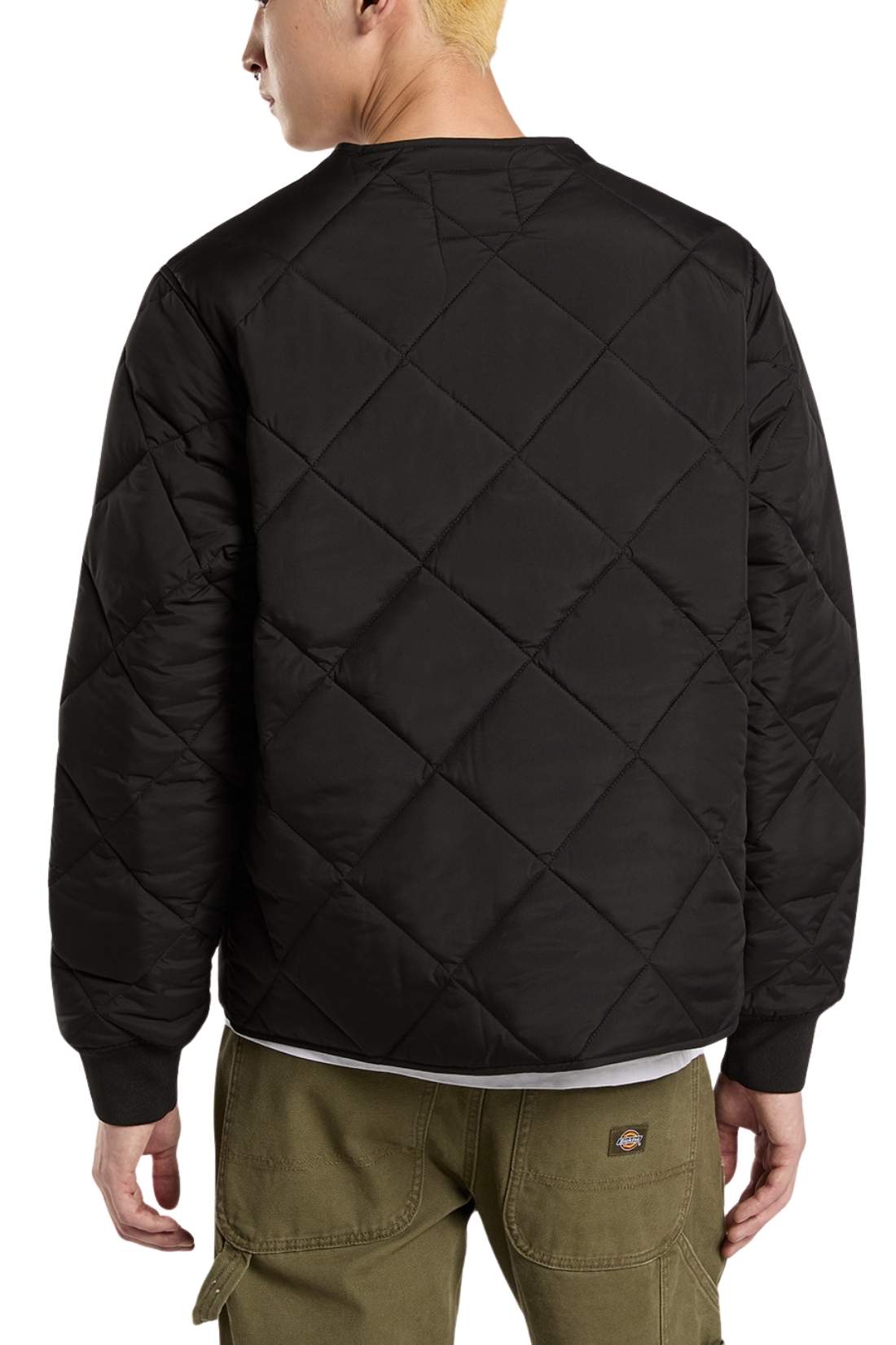 DICKIES - Men's quilted Samburg down jacket-2