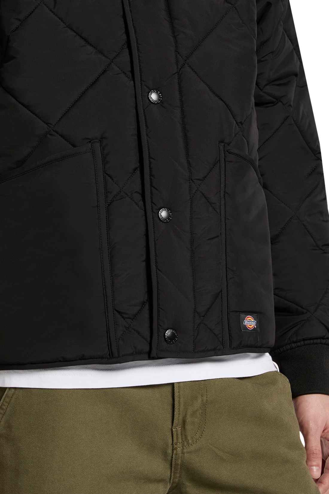 DICKIES - Men's quilted Samburg down jacket-4